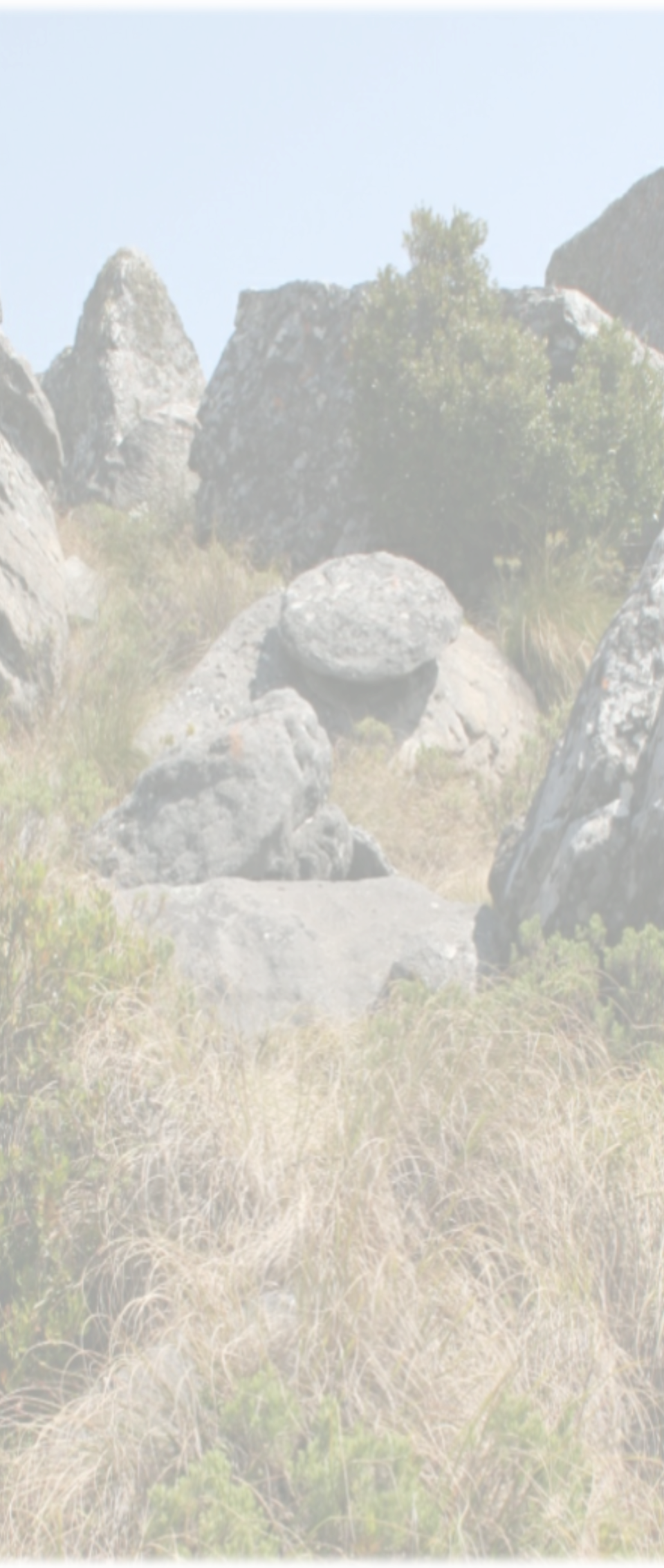 Walking Safaris around Big 5 Areas and Hoedspruit