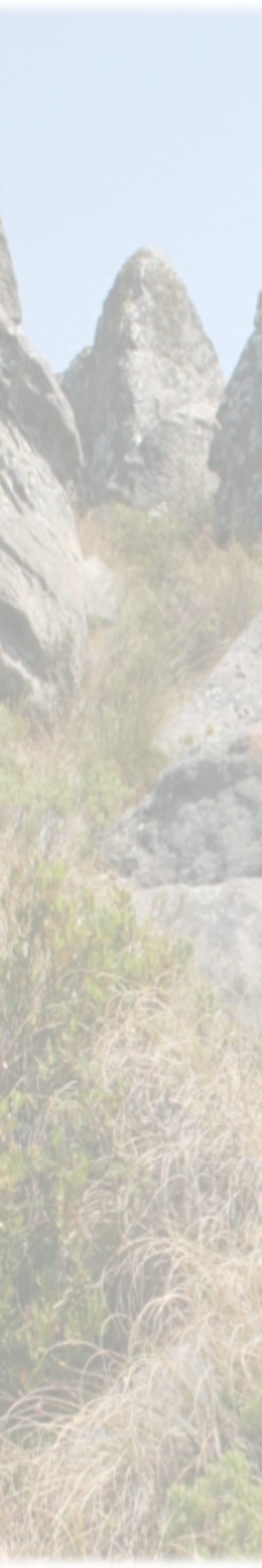 Walking Safaris around Big 5 Areas and Hoedspruit