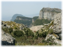 Views on a Walking Safari Hoedspruit