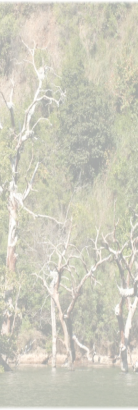 Boat Trips on the Blyde Dam Hoedspruit
