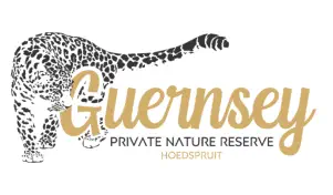 Guernsey Private Nature Reserve Hoedspruit