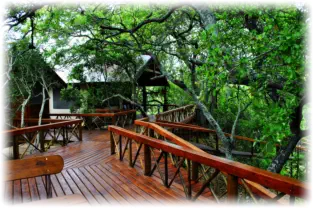 Accommodation in Great Kruger Area Hoedspruit at Lion Tree Top Lodge