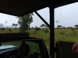 Kruger Full Day Safaris near Hoedspruit