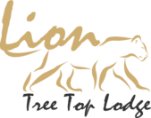 Lion Tree Top Lodge near Kruger Natonal Park