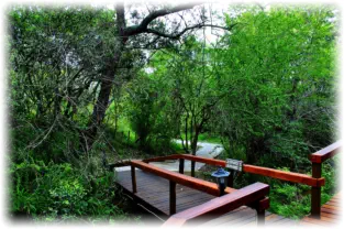 Lion Tree Top Lodgee Guernsey Private Nature Reserve