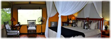 Luxury Accommodation at Lion Tree Top Lodge near Orpen Gate