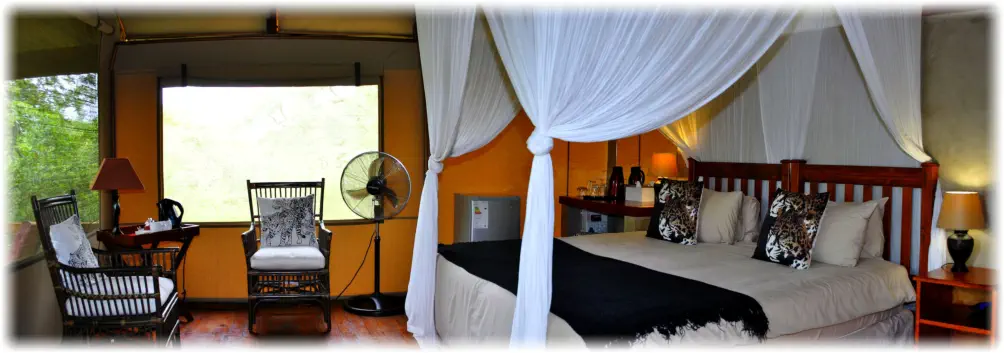 Luxury Accommodation at Lion Tree Top Lodge near Orpen Gate