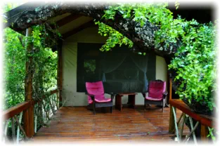 Luxury Tree Top Accommodation near Orpen Gate 