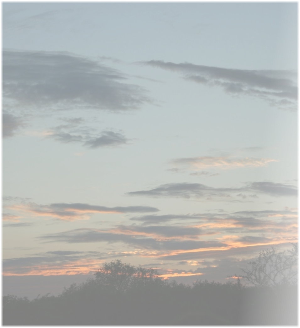Accommodation in Hoedspruit