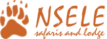 Nsele Safaris and Lodge Hoedspruit